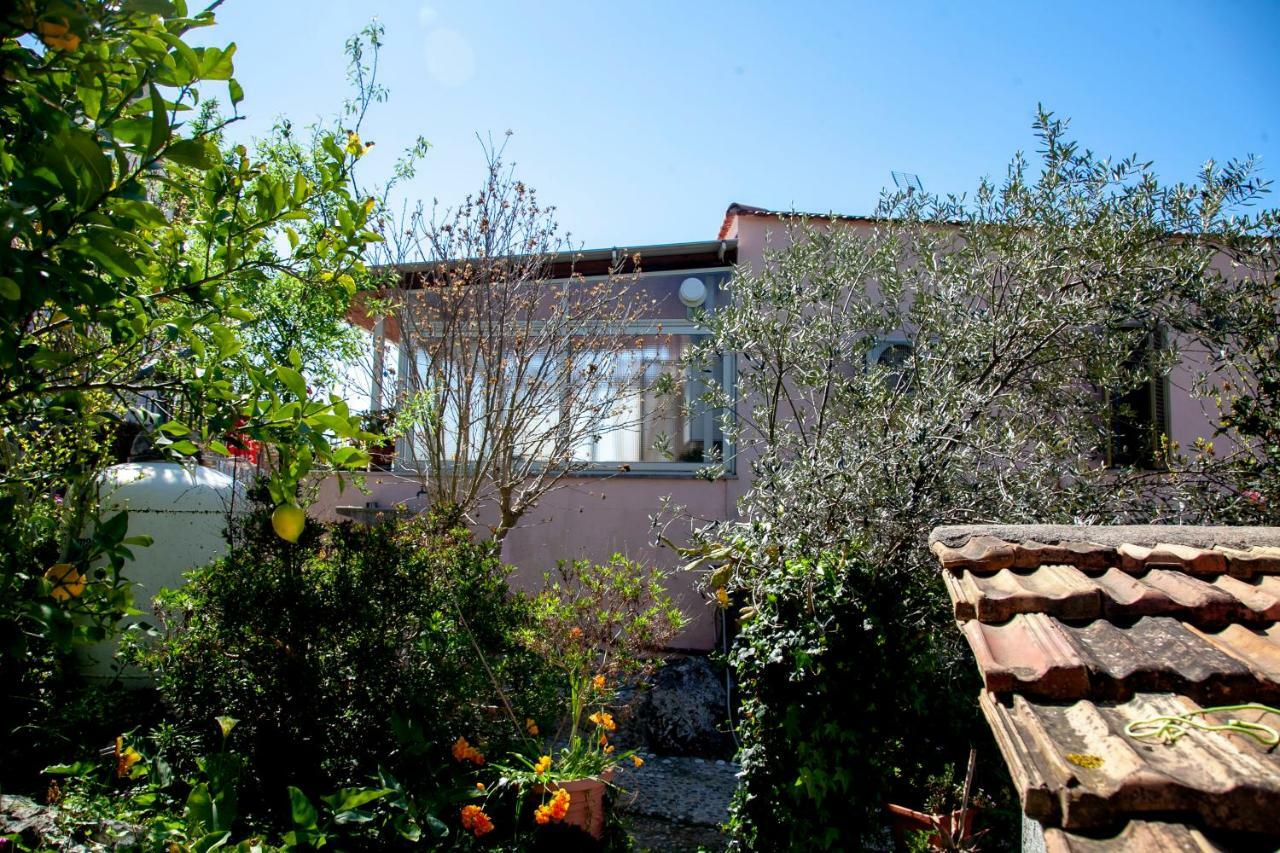Villa Panoramica تيراتشينا المظهر الخارجي الصورة
